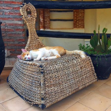 Riad Nejma Lounge Marrakesh Eksteriør billede