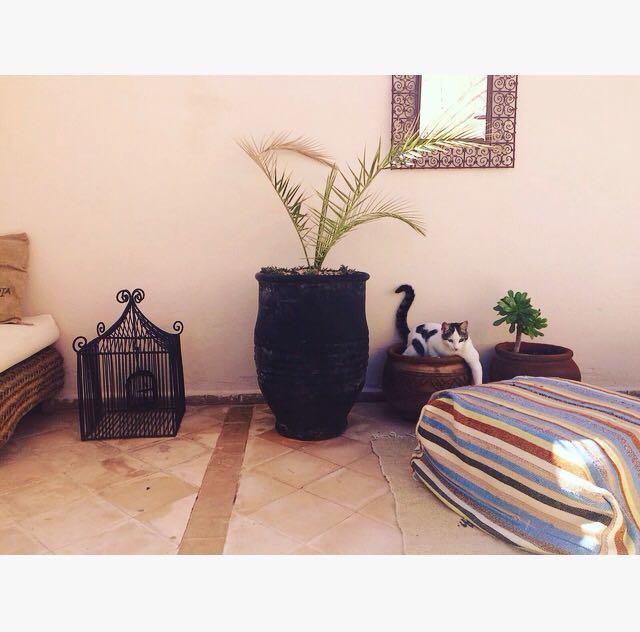 Riad Nejma Lounge Marrakesh Eksteriør billede