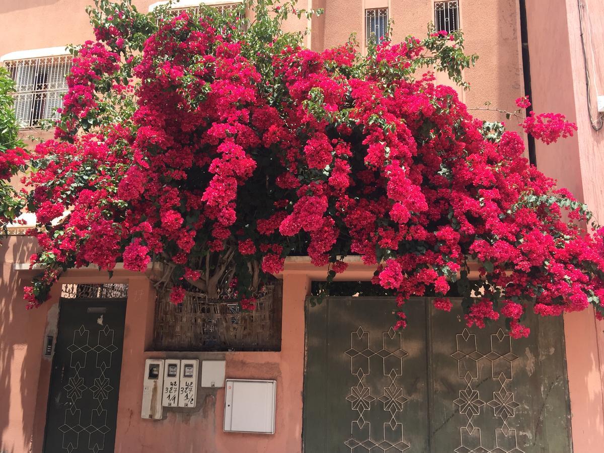 Riad Nejma Lounge Marrakesh Eksteriør billede